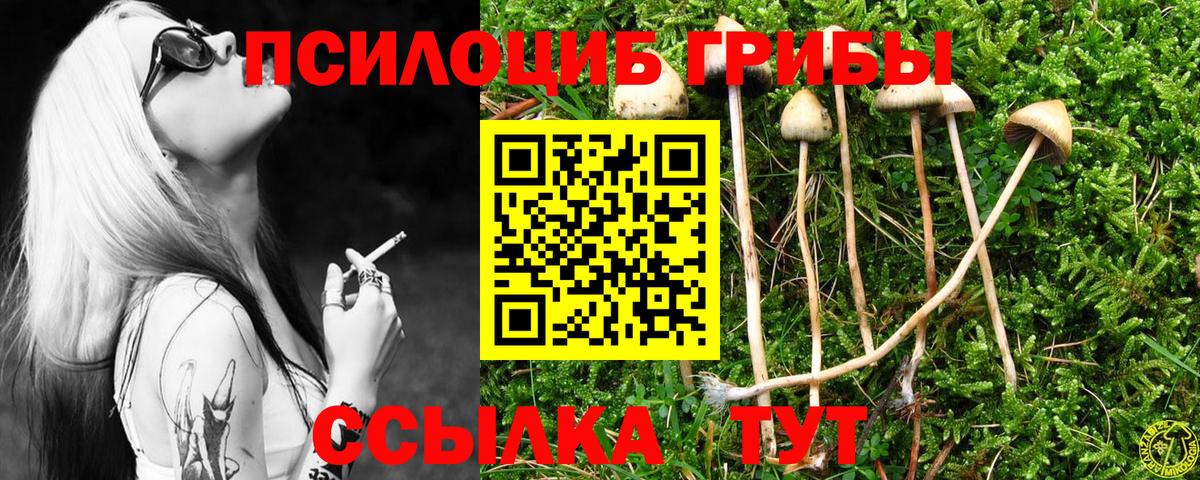 Галлюциногенные грибы Psilocybine cubensis Глазов